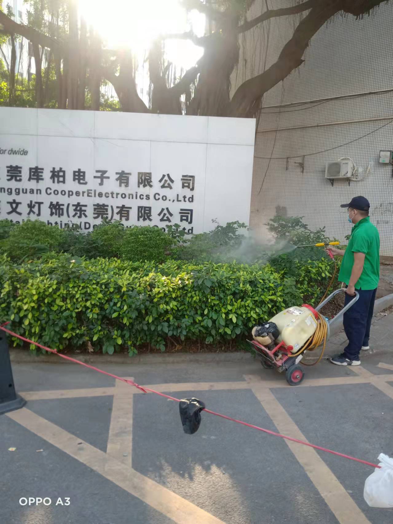   化學(xué)藥物滅鼠是滅鼠公司常用的滅鼠方法之一，鼠密度高的情況下，采用化學(xué)藥物滅鼠效果來(lái)的很直接。常用的化學(xué)滅鼠藥物有哪些呢