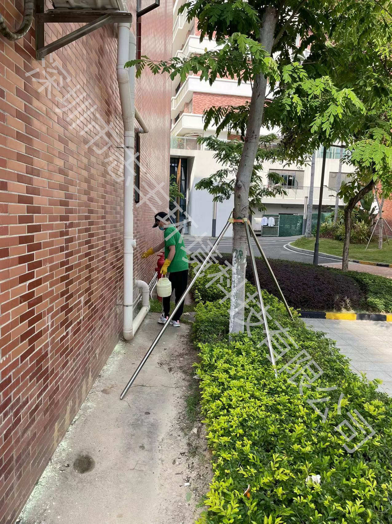 深圳小區(qū)戶外做好防蛇防蚊才能保障安全.jpg
