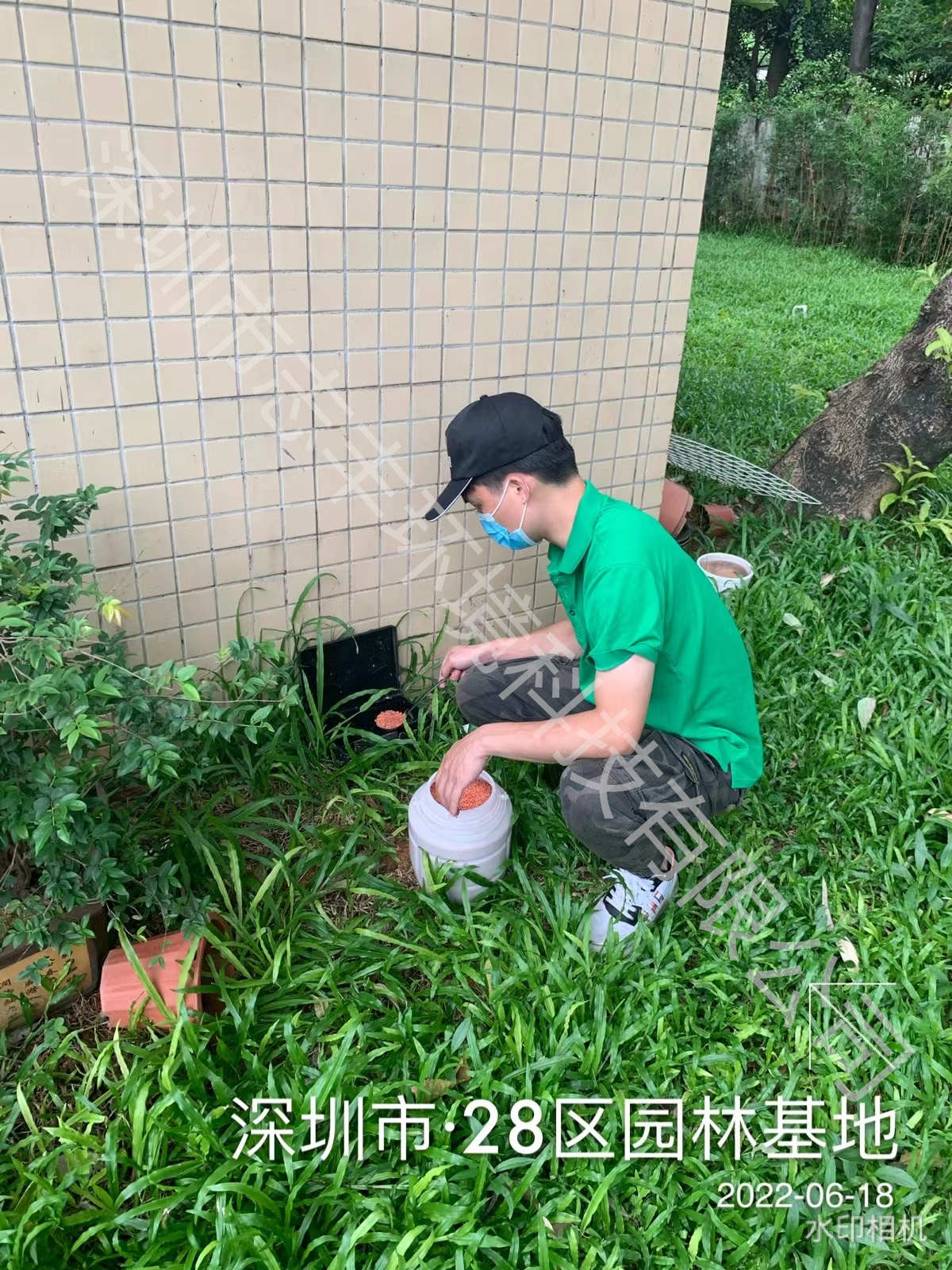 深圳小區(qū)戶外做好防蛇防蚊才能保障安全.jpg