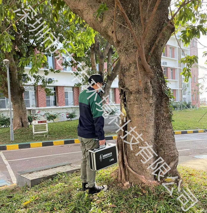 深圳白蟻防治