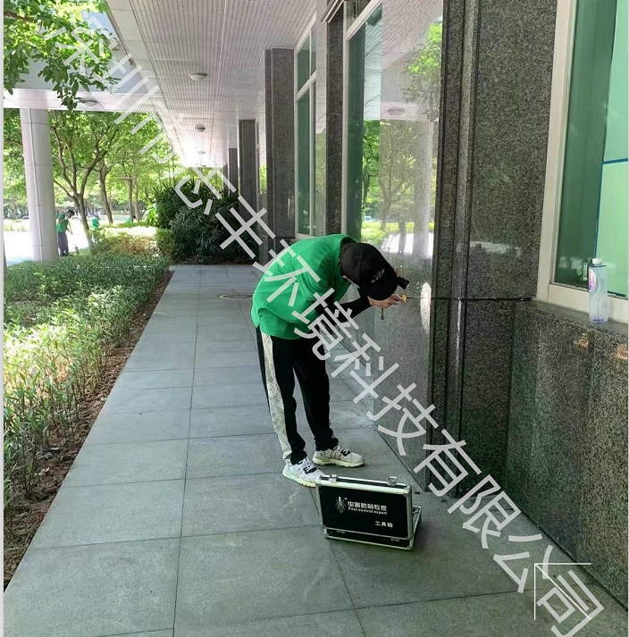 深圳居家辦公該如何預(yù)防白蟻的危害呢一