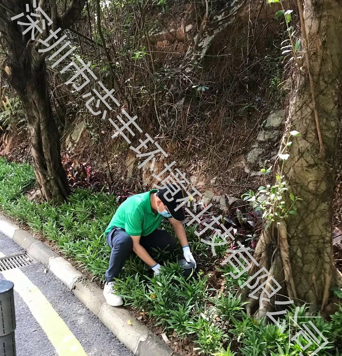 深圳南山寶安辦公樓物業(yè)有必要做白蟻防治嗎圖2
