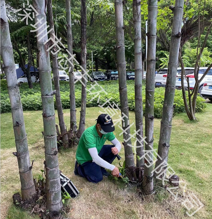 深圳工廠白蟻防治