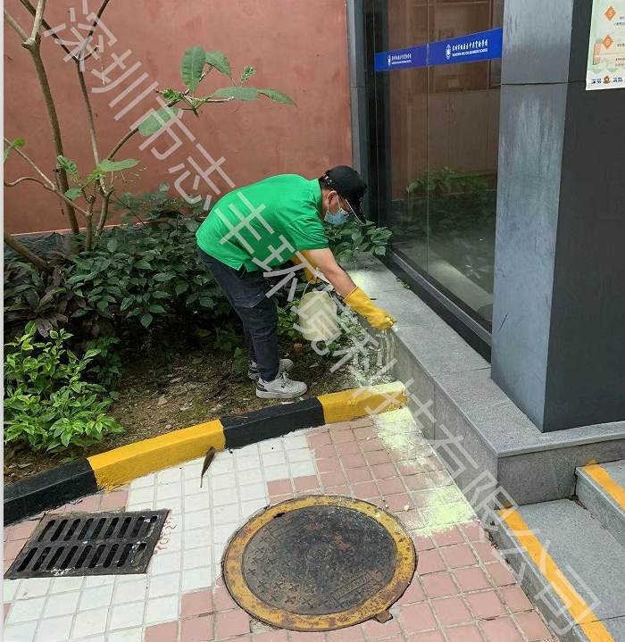 深圳大型辦公室有哪些有效的蛇類防治方法2