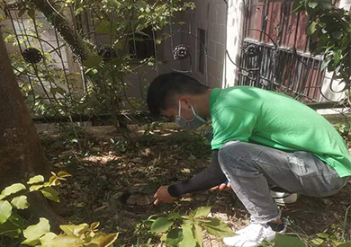 科普工廠小區(qū)等地方如何防蛇比較好？