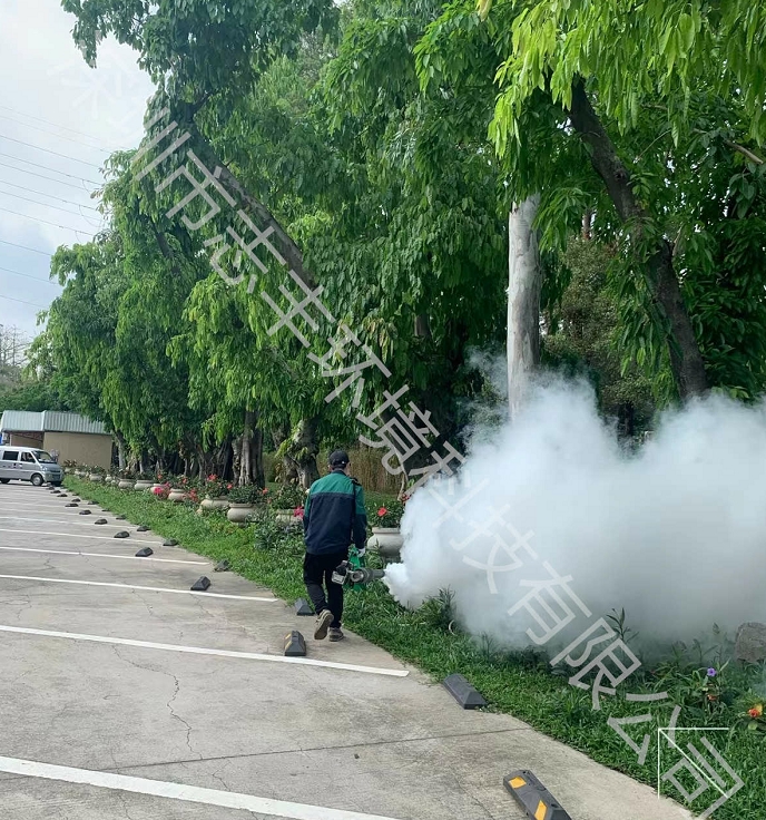 寶安除蟲公司如何高效消滅辦公室蟑螂？