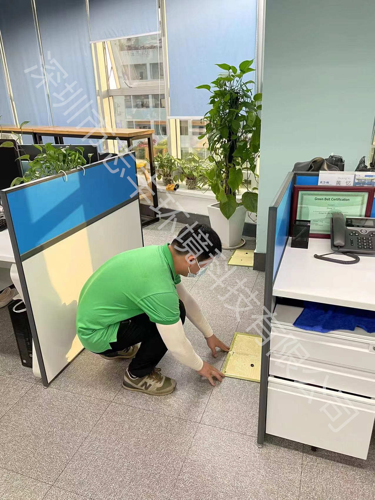 寶安專業(yè)滅蟑螂滅鼠的方法