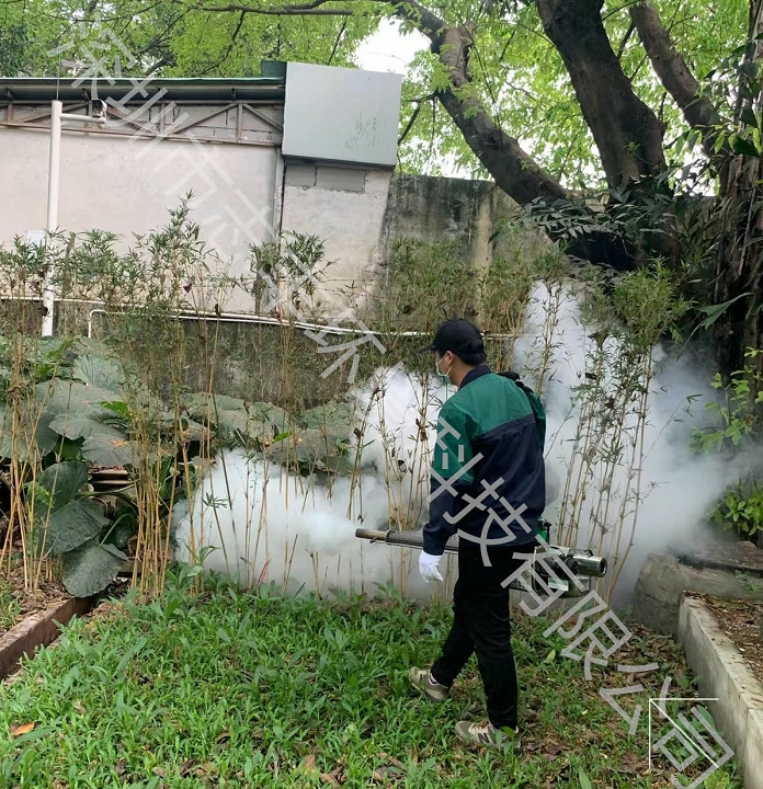 深圳餐飲行業(yè)怎么樣做好蟑螂防治