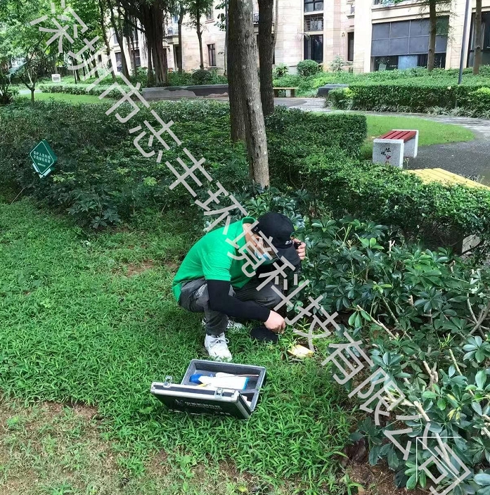 深圳園區(qū)白蟻防治/蟲害防治專業(yè)服務(wù)公司完整流程有哪些？